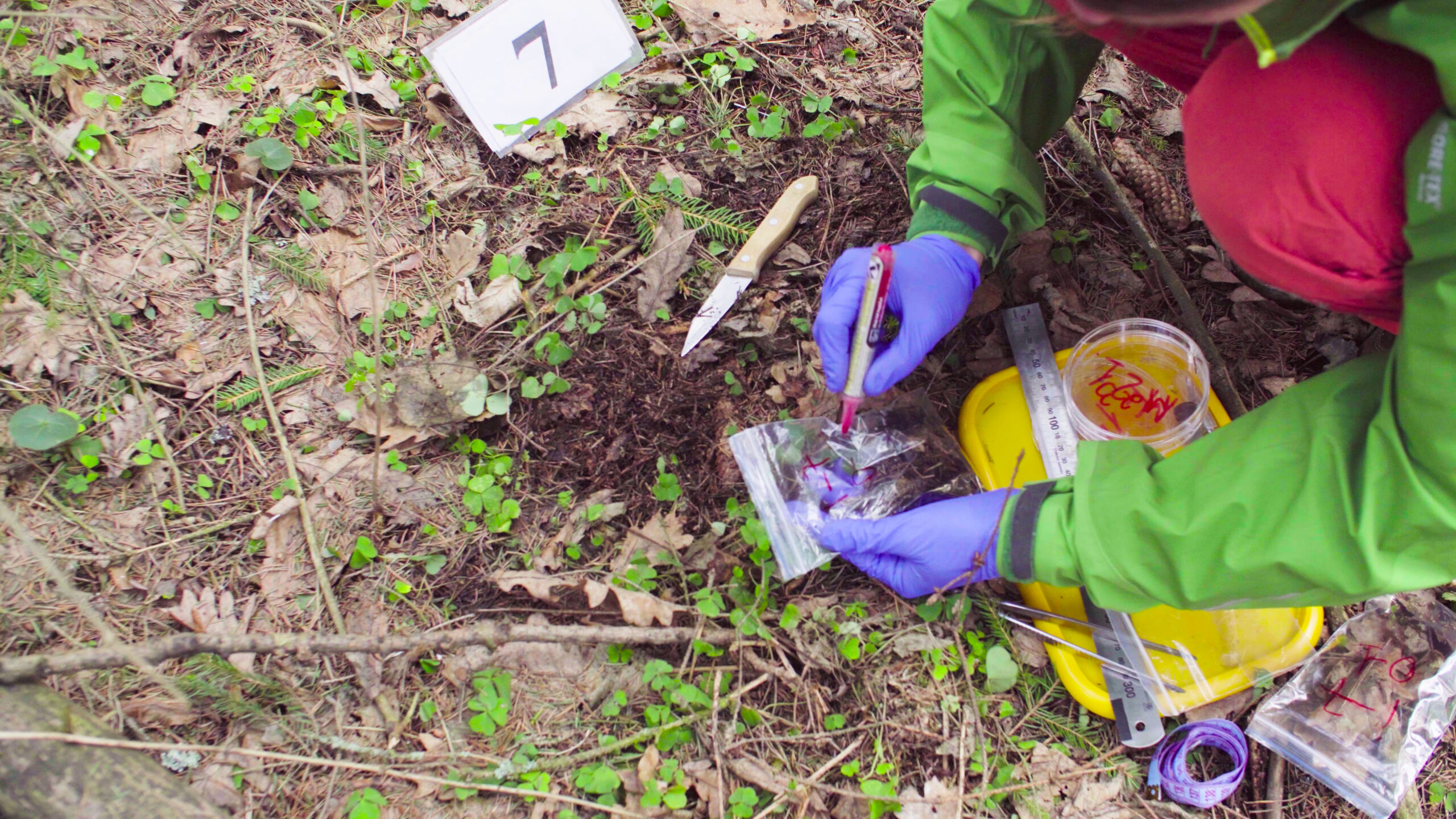 Scientist ecologist in the forest taking samples of soil