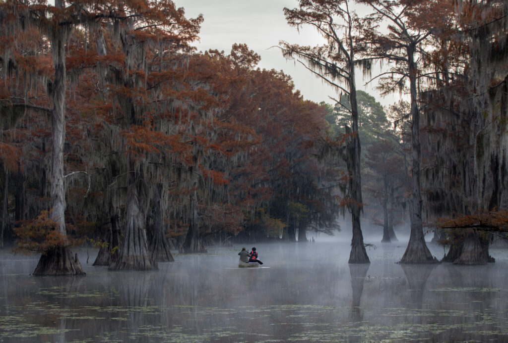 This is a picture of a couple canoing at Caddo Lake, Texas, Louisiana, USA