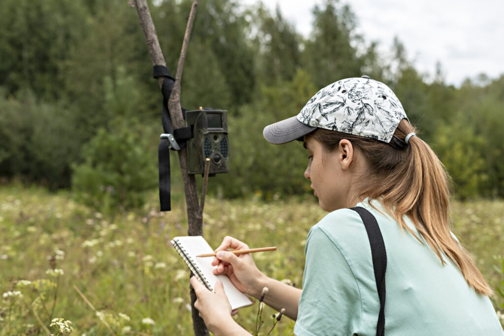 Young woman scientist cryptozoologist writing down data from trap camera to notepad, observing wild animals in the forest, monitoring of rare endangered animal species.
