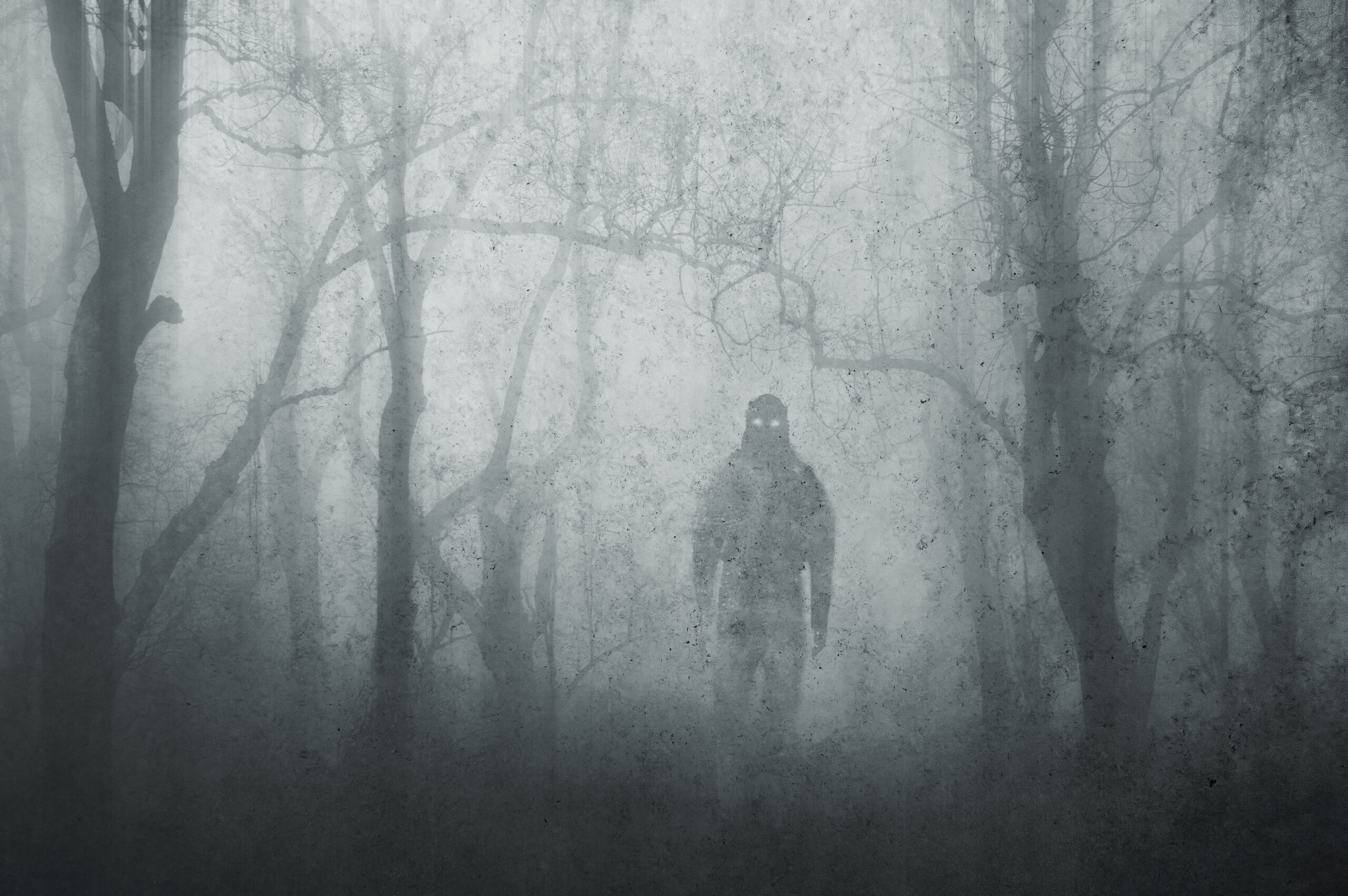 A dark scary concept. Of a mysterious supernatural figure, walking through a forest. Silhouetted against trees. On a foggy winters day. With a grunge, textured edit.